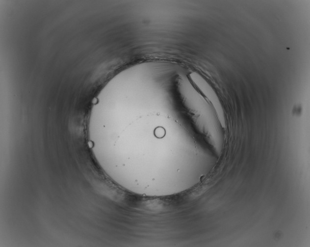 X0000091990423200709271451