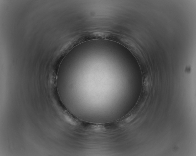 X0000091990424200709271451