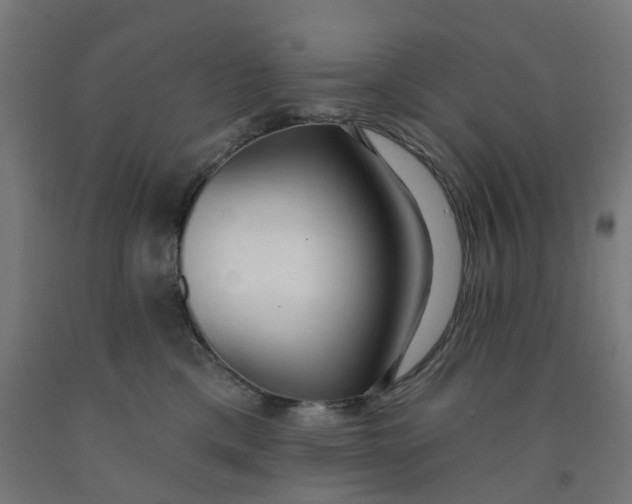 X0000091990425200709271451