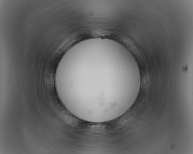 X0000091990426200709271451