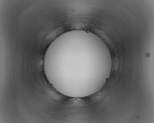 X0000091990427200709271451