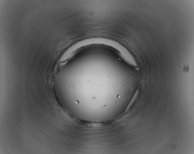 X0000091990428200709271451