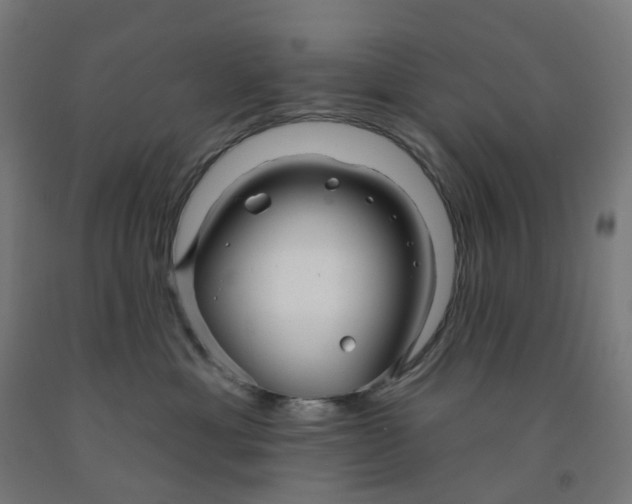 X0000091990429200709271451