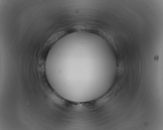 X0000091990430200709271451