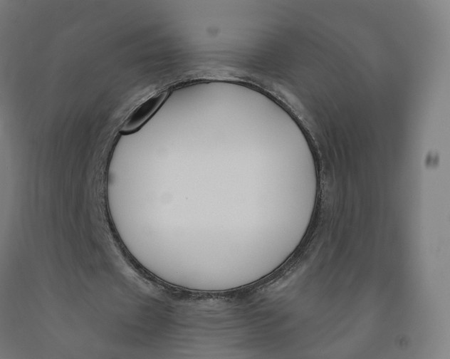 X0000091990433200709271450