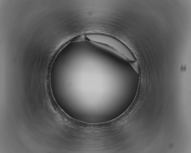 X0000091990434200709271450