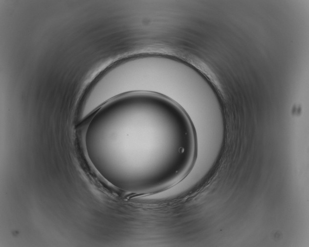 X0000091990436200709271450