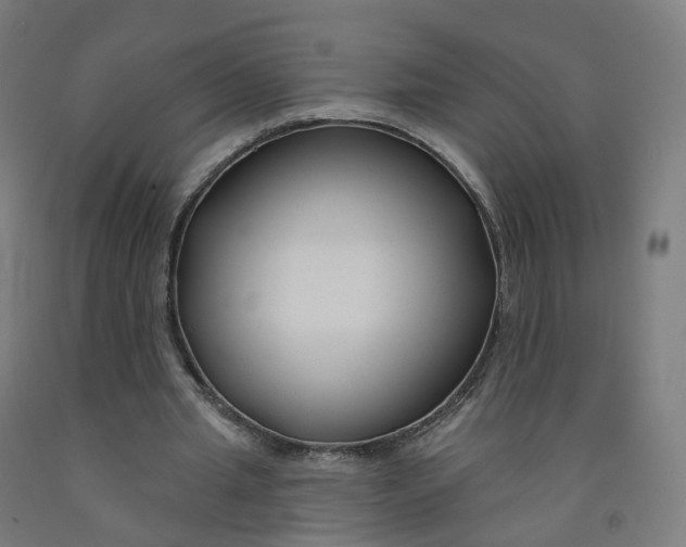 X0000091990437200709271450