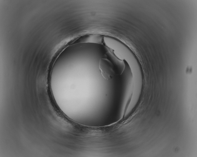 X0000091990438200709271450