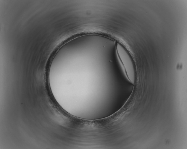 X0000091990439200709271450