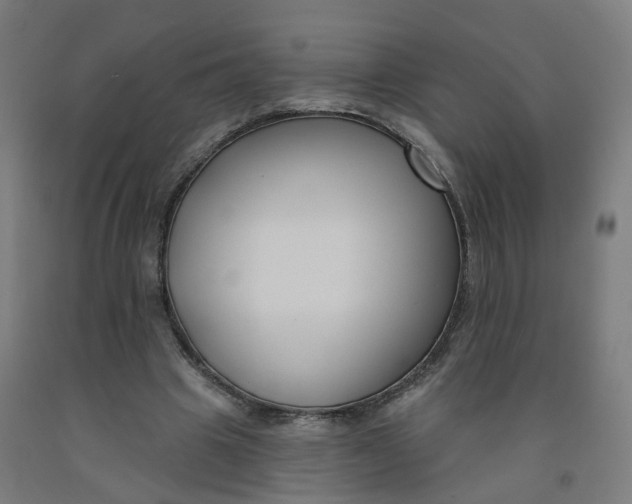 X0000091990441200709271450