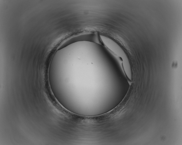 X0000091990444200709271451