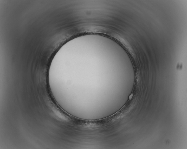 X0000091990445200709271451