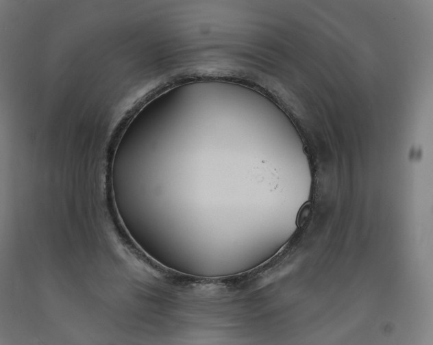 X0000091990446200709271451