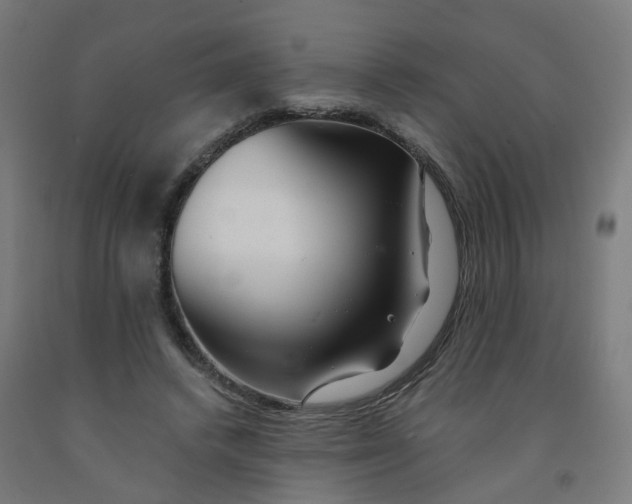 X0000091990448200709271451