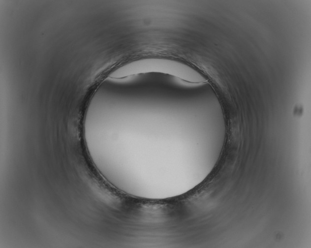 X0000091990450200709271451