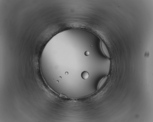 X0000091990453200709271451