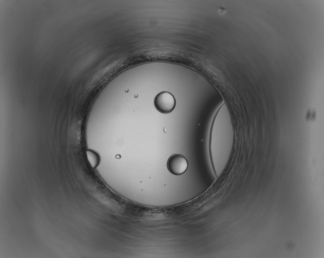 X0000091990454200709271451