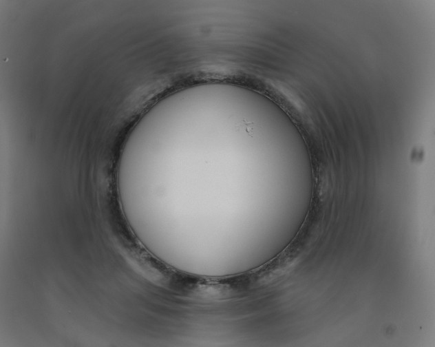 X0000091990455200709271451