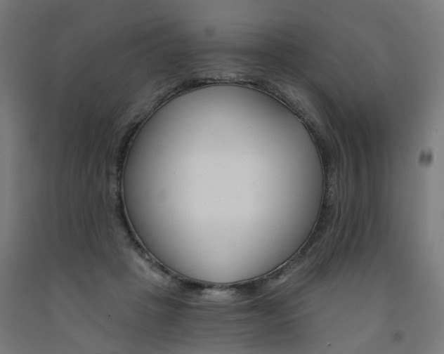 X0000091990457200709271451