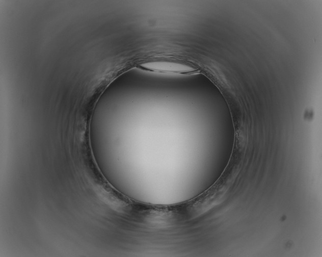 X0000091990458200709271451