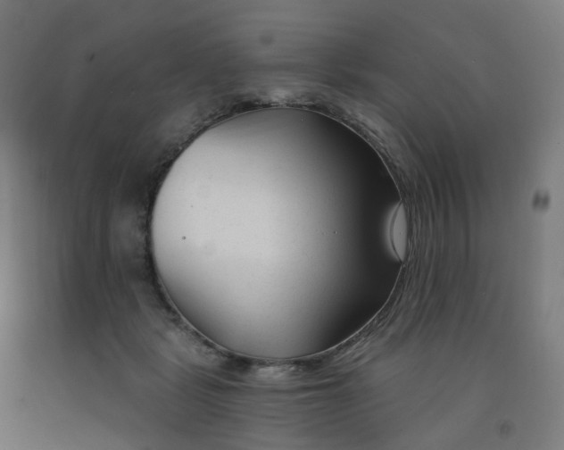 X0000091990461200709271451