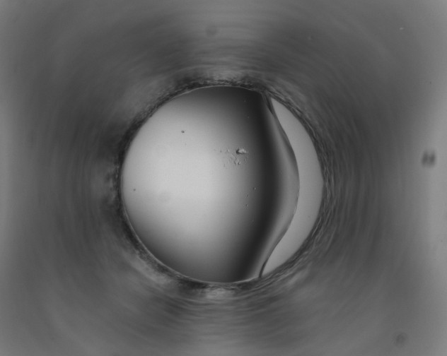 X0000091990462200709271451