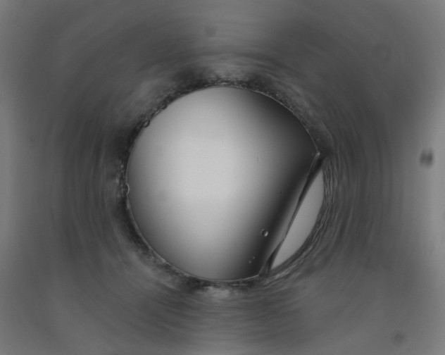 X0000091990464200709271451