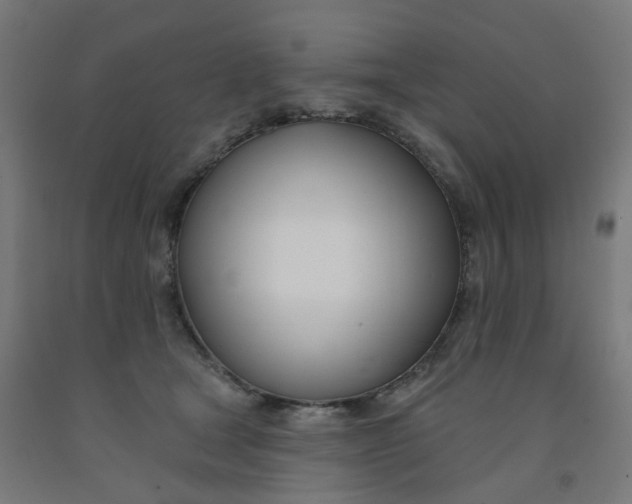 X0000091990465200709271451