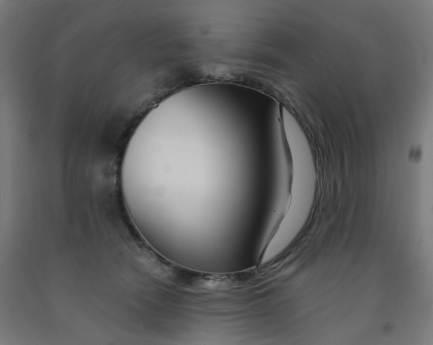 X0000091990466200709271451