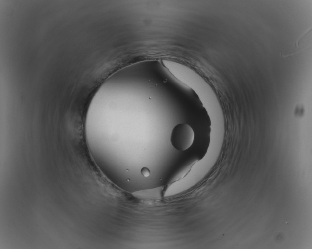 X0000091990469200709271451