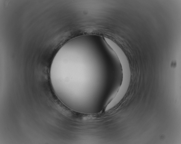 X0000091990470200709271451