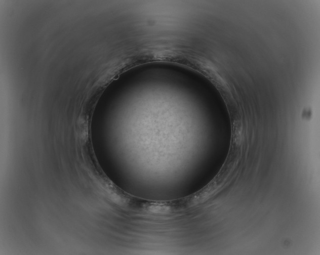 X0000091990471200709271451