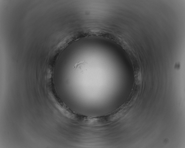 X0000091990472200709271451