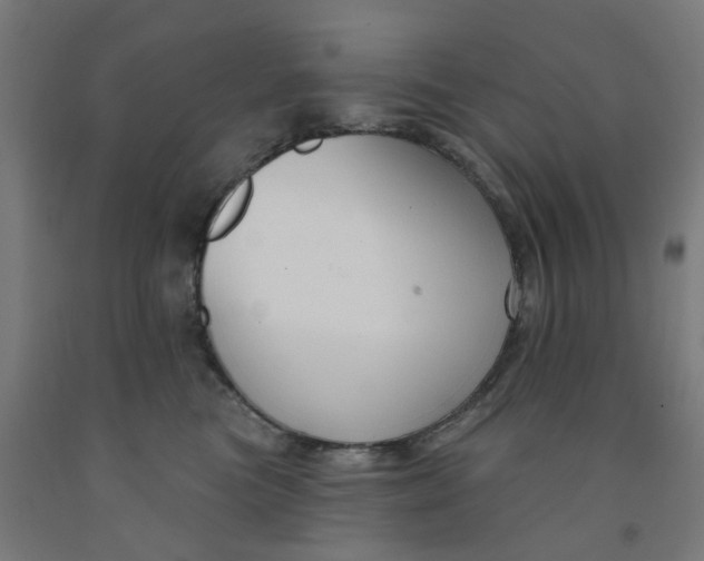 X0000091990473200709271451