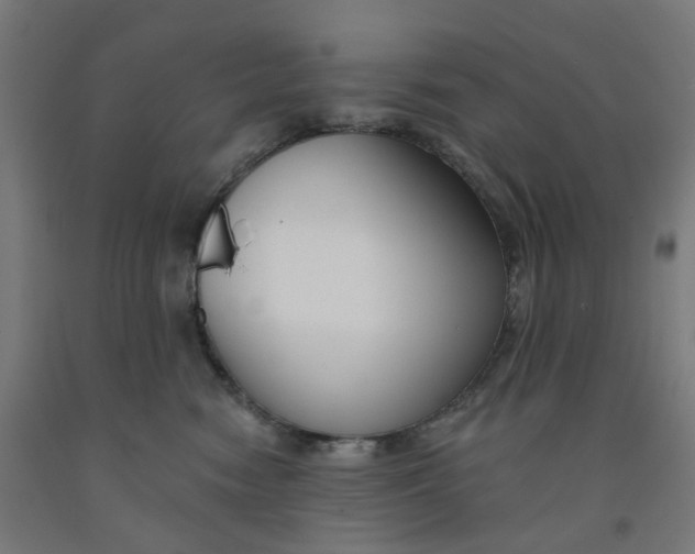 X0000091990474200709271451