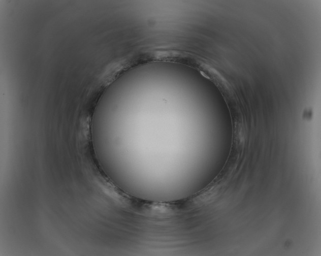 X0000091990475200709271451