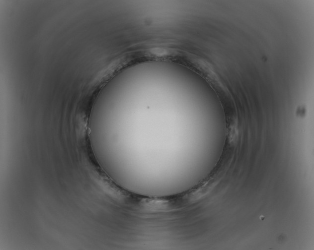 X0000091990476200709271451