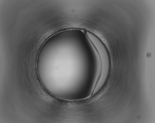 X0000091990481200709271450