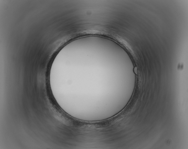 X0000091990482200709271450