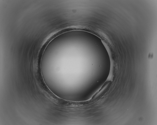 X0000091990484200709271450