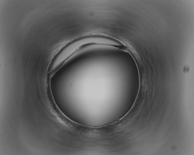 X0000091990485200709271450