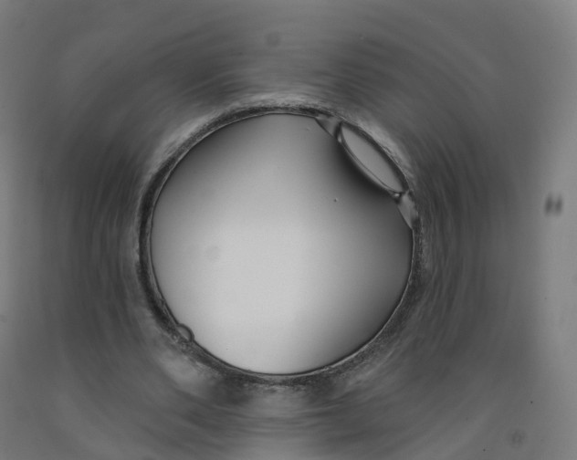 X0000091990486200709271450