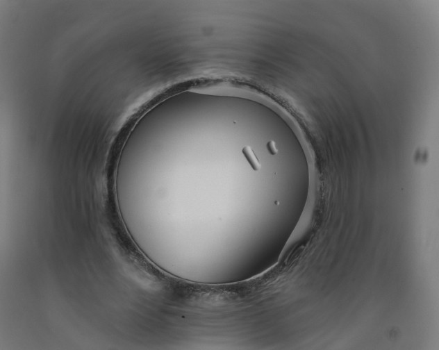 X0000091990488200709271450