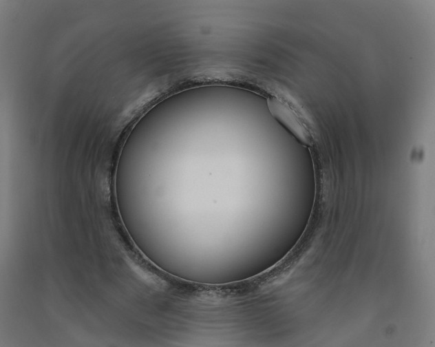 X0000091990489200709271450