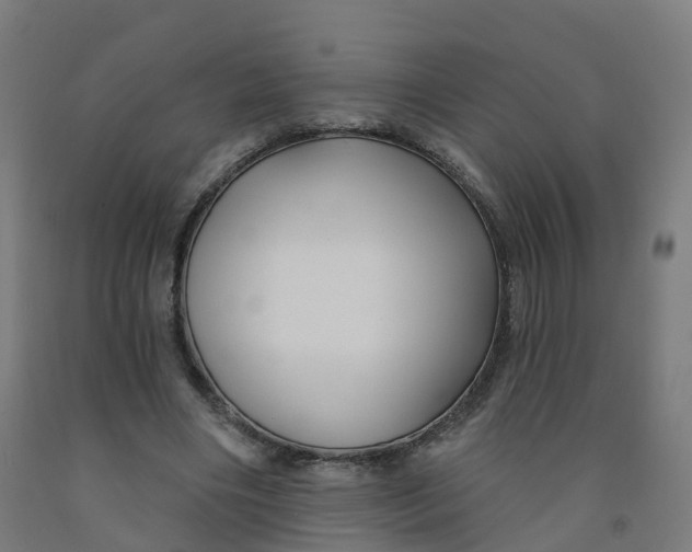 X0000091990490200709271450