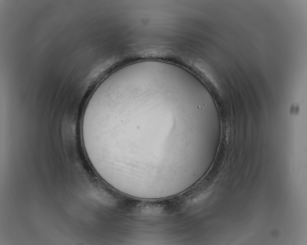 X0000091990491200709271450