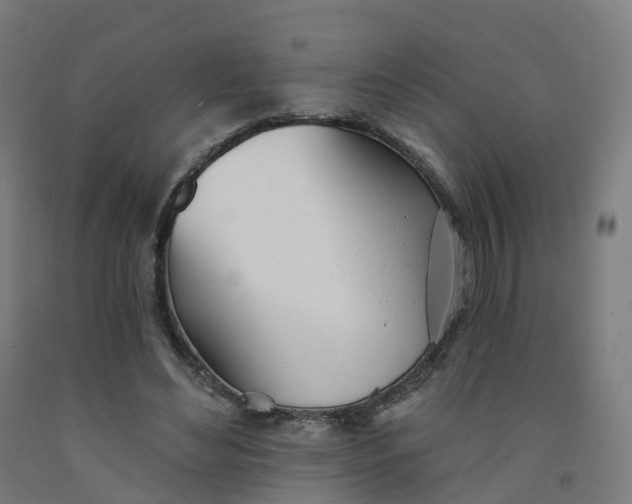 X0000091990492200709271450