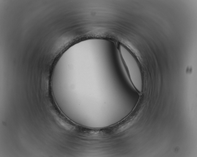 X0000091990493200709271450