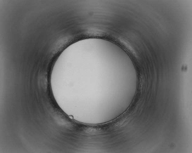 X0000091990494200709271450